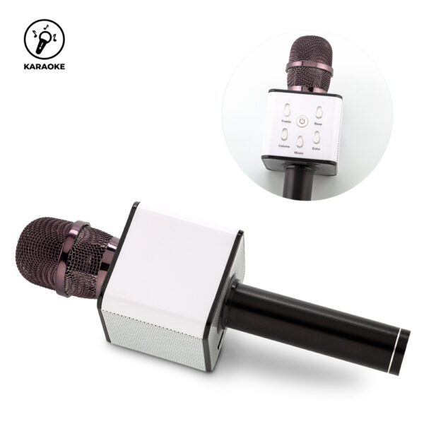 TE-582 Speaker Bluetooth Micro Karaoke