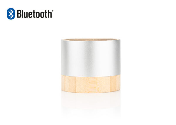 TE0666 Altavoz New