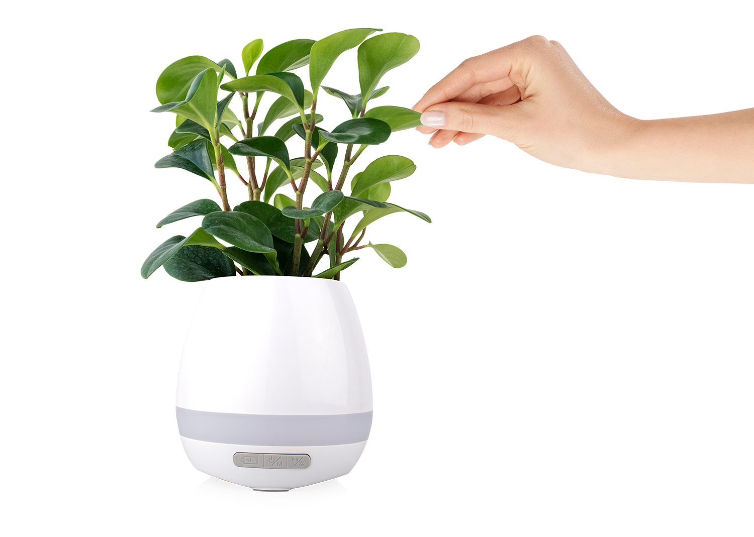 TE0712 Altavoz Joplin - Imagen 3