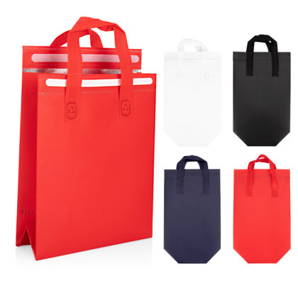 BO0494 Bolsa Flex