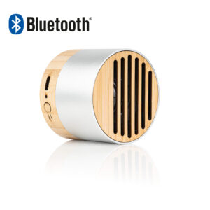 TE0666 Altavoz New